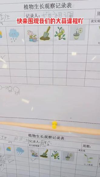 亲手水培的大蒜,仔细观察生长状态,每天做好记载,并能根据记载阐述大蒜的生长情况。我想,这就是幼教的魅力吧!#我的小可爱们♥♥