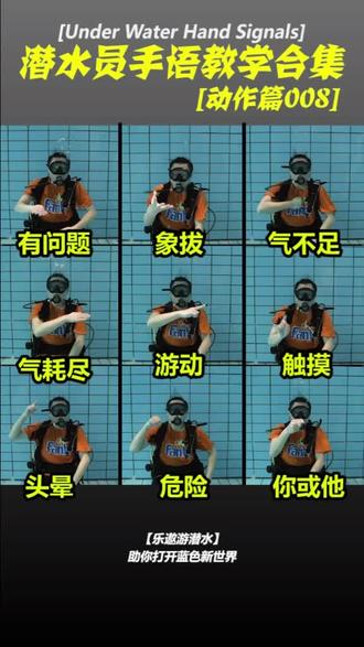 #肥宅潜水员 #潜水手势 潜导的意思你懂吗