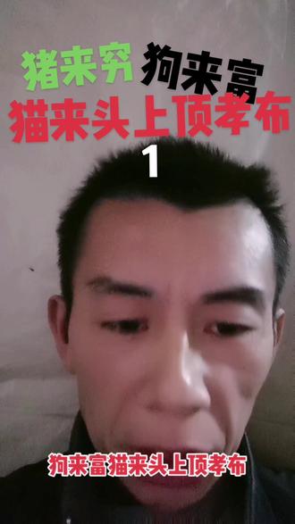 老王讲故事猪来穷狗来富,猫来头上顶孝布(1)#祝各位亲朋好友身体健康