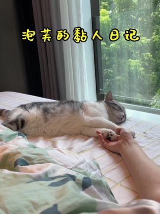 王泡芙