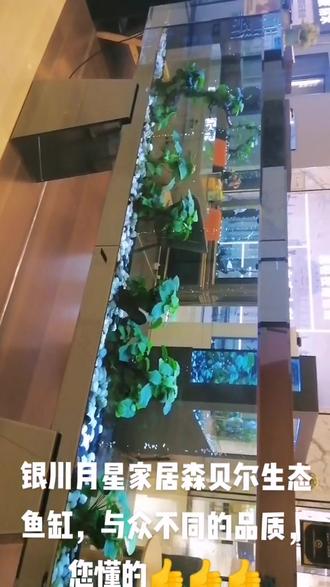 森贝尔生态鱼缸,给您与众不同的视觉感,更给您的爱家带来不一样的美💗💖💕#店内实拍 #我在月星一楼中厅右手位置等你来哟🤗