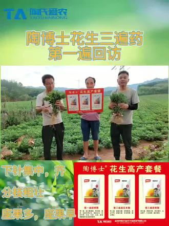 陶博士~花生套餐回访纪实