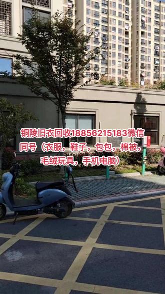铜陵地区旧衣回收188-5621-5183#同城精选 #铜陵#旧衣回收#铜陵旧衣回收##
