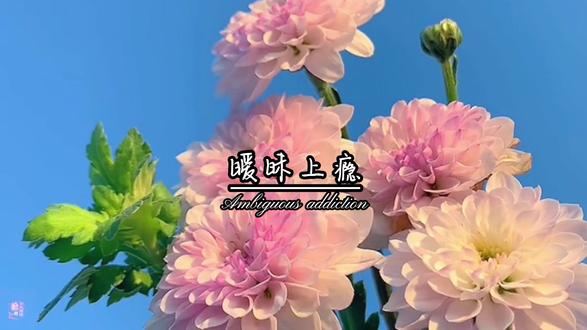 陪几年的人,不如陪几天的人#上热门 #春暖花开奔你而来 #人生感悟 #春天你好 #感情语录