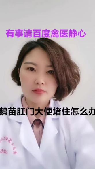 禽医静心谈鹅苗肛门大便堵住小鹅糊肛什么原因鹅脱肛怎么办#养鹅技术分享 #养鹅 #科学养鹅防疫流程