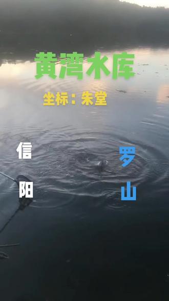 本库已开钓!随时欢迎钓友们的光临!