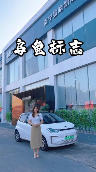 仪表盘上出现这个标志可要小心了,不注意的话,家都回不去#大众思皓 #思皓e10x #新能源汽车 #每天一个用车知识 #我与汽车的日常