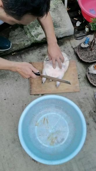 老鼠拉龟,无从下手😂😂😂