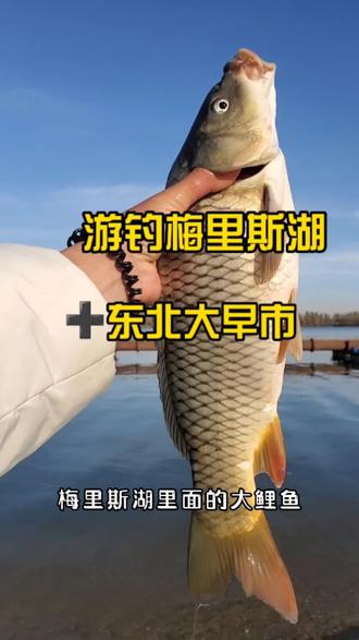 梅里斯湖钓各种鱼😁
再逛吃一下接地气的大早市
大东北,爱了爱了
#2022dou来钓鱼 #女钓手 #旅行大玩家 #东北 #东北早市