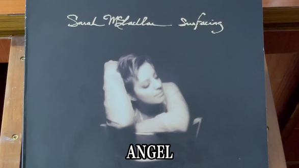 《City Of Angel》插曲-Sarah McLachlan#前奏一响拾起多少人的回忆 #黑胶唱片 #音乐治愈 #无与伦比