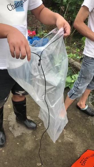 大师讲解《鱼护篇》#钓鱼人 #户外钓鱼