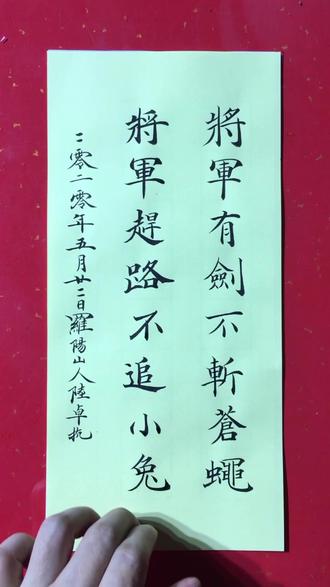将军有剑,不斩苍蝇。