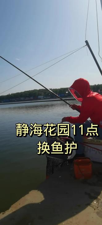 11点换鱼护#钓鱼人 #黑坑 #钓鱼