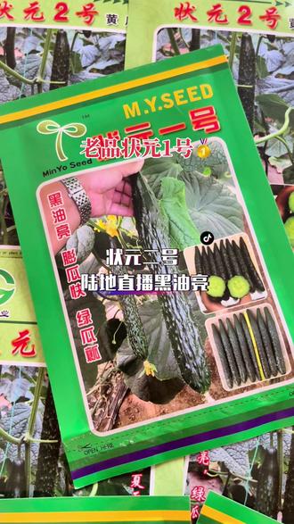 #寿光天启种业 状元二号陆地直播黑油亮,瓜条35-38公分,老品种状元一号🥇早春秋延可以直播可以嫁接,表现都非常完美,瓜条颜色黑油亮,一直都是市场回收最高价#状元二号 #状元一号
