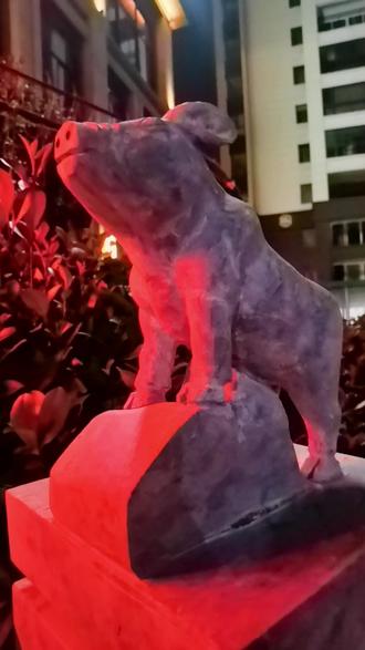 《练江溜娃》
游园荡秋千,十二生肖伴。
初冬渐已冷,星光醉童年。
——壬寅十月廿六黄保森原创于逸兴斋。