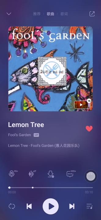 Lemon Tree#好听英文歌曲