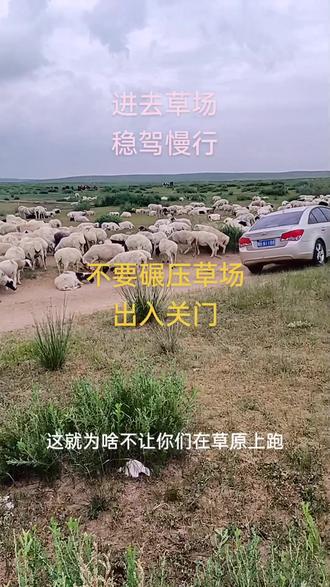 #原生态乡村生活 夏天来草原进入草场,不要碾压草场,出入关门,垃圾带走!草原人们欢迎你!牧民生活