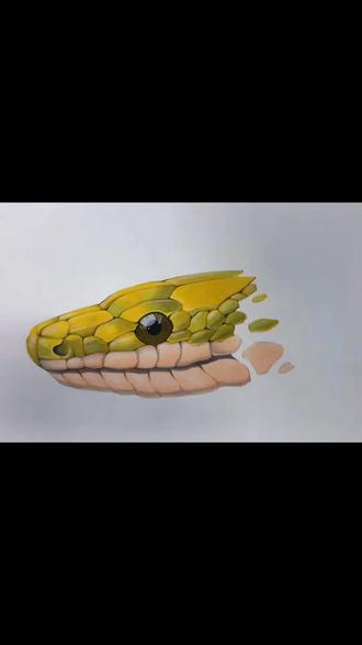 马克笔手绘黄金蟒#手绘 #美术生 #艺考生 #马克笔 @DOU+小助手