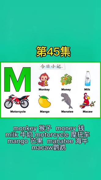 #英语口语 #学英语 #英语启蒙 #停课不停学 字母M monkey 猴子 money 钱 milk 牛奶motorcycle 摩托车 mango 芒manatee 海牛 macaw鹦鹉的英文怎么说@杰哥科普 @美食每日分享。 @美食记