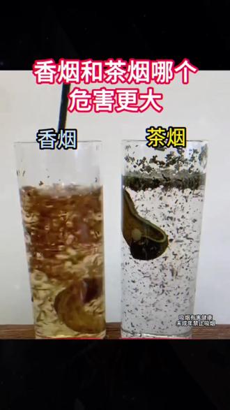香烟和茶烟哪个危害更大?我用两条蚂蝗告诉你,一定要看到最后 #戒烟 #焦油过滤器 #一次性滤嘴#吸烟有害健康 #焦油过滤器 @DOU+小助手