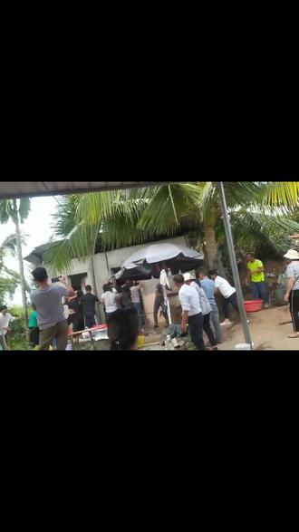 黎族娶亲,抢猪腿哈哈😂😂#地方风俗文化 #人多就是热闹 #海南乐东