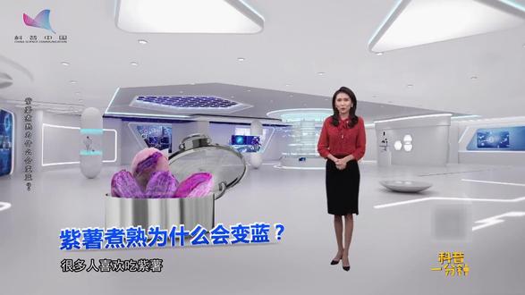 转自科普中国:科普一分钟:紫薯煮熟为什么会变蓝?