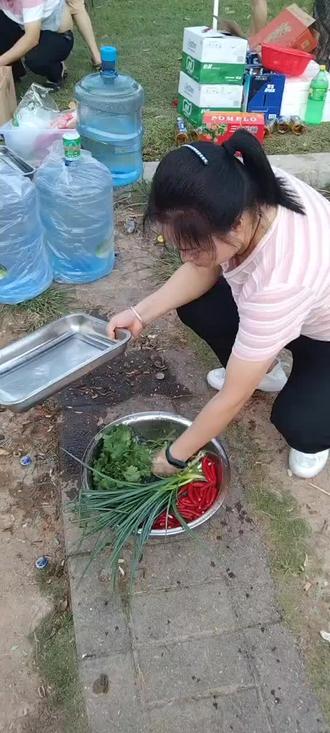 ATL集团沙田湿地公园野炊活动