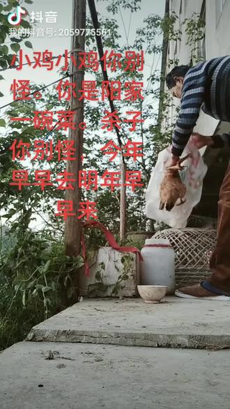 小鸡小鸡你别怪,你是阳家一碗菜#
