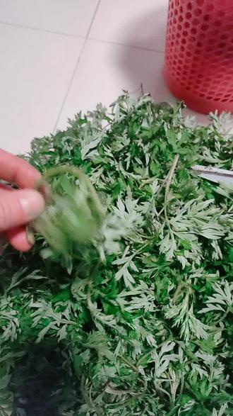 蒿子粑粑季节,储存一点蒿子放冰箱冷冻起来,不论什么时候拿出来吃,和新鲜的一样,安徽六安特色小吃,蒿子粑粑。