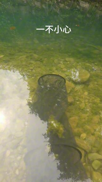 #原来钓鱼才是抖音运动顶流 #户外 #钓鱼人 想要爆护,最快的方式。
鱼护换小,不接受反驳!