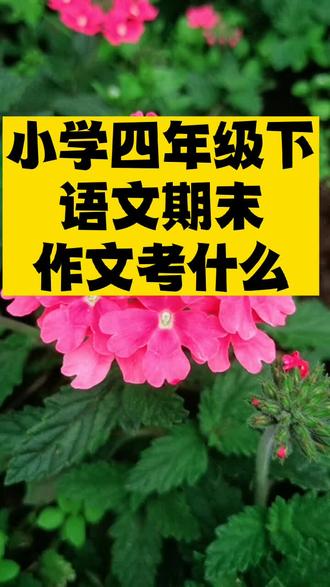 小学语文期末作文考试范围#小学语文 #小学作文 @抖音小助手