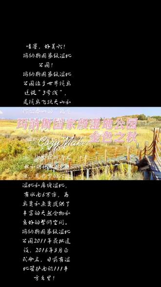 玛纳斯国家级湿地公园金秋之美