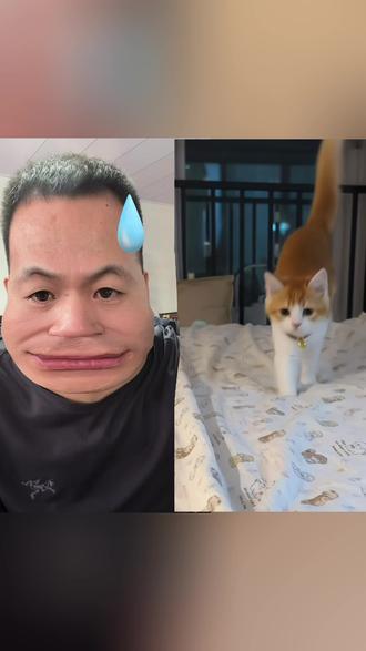 新品猫粮来了,库存不多,抓紧给你家爱宠安排上 #猫粮 #猫咪 #猫咪毛球 #猫咪的迷惑行为