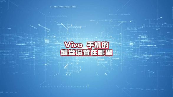 Vivo 手机的键盘设置在哪里设置?
