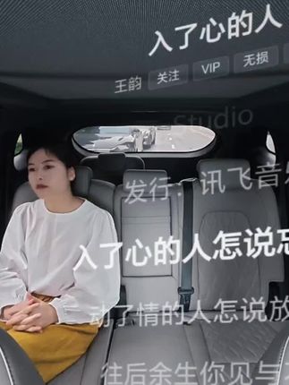 入了心的人怎说忘就忘 动了情的人怎说放就放 虽然你我已天各一方 我也愿你平安无恙 #王韵 #入了心的人 #歌单种草计划 #热歌推荐官 #顺风车