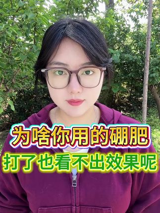 为啥你用的硼肥,打了也看不出效果呢?##农业种植 #果树种植 #颗粒硼 #油菜底肥#油菜硼肥