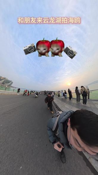 徐州云龙湖红嘴鸥,每天游客几万人,浪漫了整个云龙湖 徐州云龙湖红嘴鸥观赏 黄金时间段:上午10点左右,下午3-5点,主要是下午人多,喂海鸥的人也多,海鸥喜欢来玩儿
不要乱投喂海鸥,保护野生动物#海鸥 #云龙湖
