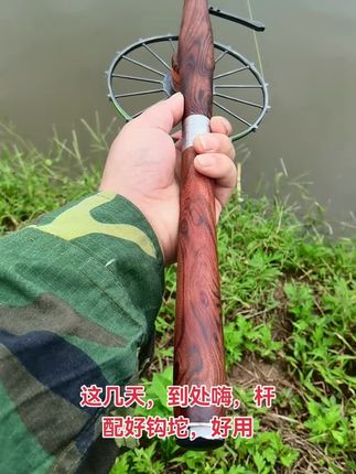 快看不见鱼了,就玩个这几天#户外钓鱼 #户外打甲鱼 #杨子甲鱼钩