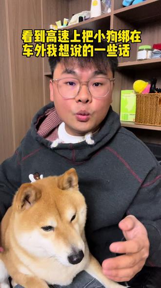 几吨的车就装不下一只小狗吗#过年带宠物回家