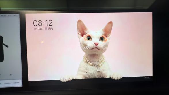 理想OTA8.2,艺术相框问题解答!#龍理荟黑龙江理想车友会 #理想汽车 #理想车友会 #理想生活进行时 #世界不能没有猫猫