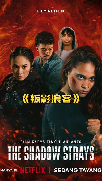 《叛影浪客》一口气带您看完 #看一看长视频#电影推荐#4K#影视解说