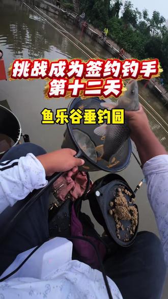 挑战成为签约钓手的第十二天,偶尔玩玩回锅鱼,带来不一样的体验。#全网钓鱼大师都在盘老板 #钓鱼人就是这么疯狂上热门 #黑坑盘老板 #回锅鱼