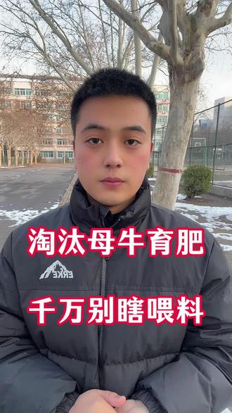 淘汰母牛育肥,千万别瞎喂料!#淘汰母牛育肥 #淘汰母牛 #老片母牛 #养牛技术