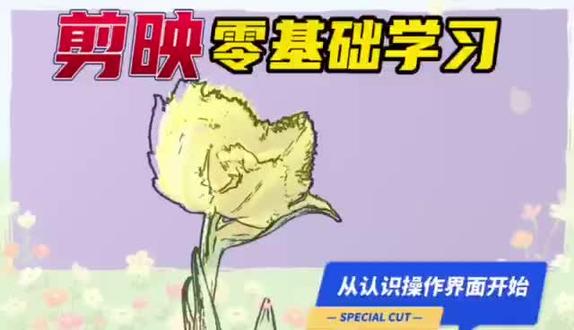 第31集 | 学剪映,从正确认识操作界面开始。用剪映制作小视频,为生活增加乐趣!!