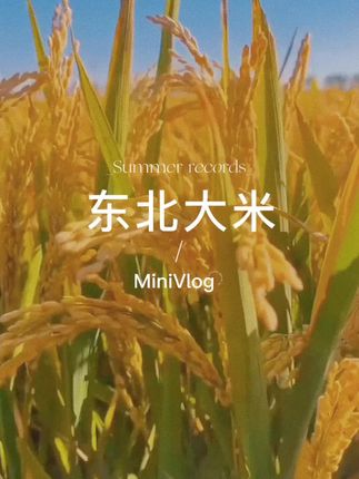 #强烈推荐好物