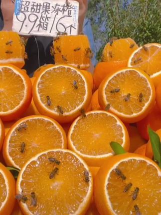 #上热门 四川爱媛果冻橙甜蜜爆汁果冻般口感新鲜水果#应季水果 #果冻橙