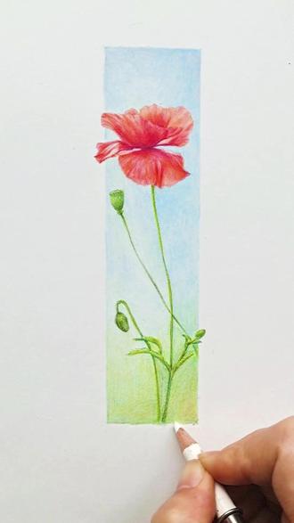 【彩铅花卉】花开成景,花落成诗!
#彩铅教程 #彩铅手绘 #彩铅 #彩铅花卉 #虞美人