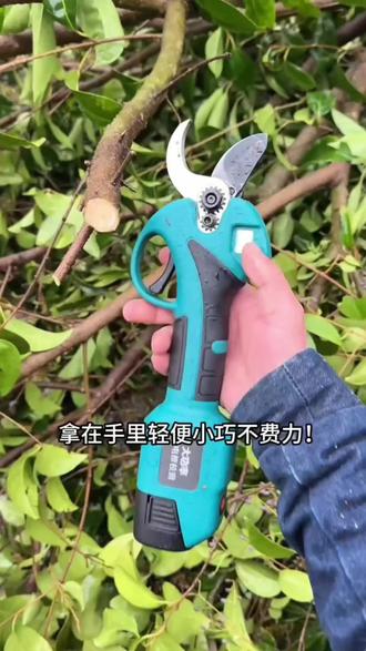 德国科沃驰电动修枝剪果树剪强力多功能轻便型电剪园艺园林树枝剪#修枝剪#剪刀