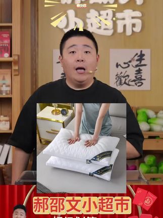五星级枕头芯成人单人护颈羽丝绒枕头高弹家用一对家用#枕芯 #护颈枕头 #护颈枕 #家纺床上用品 #高端床品