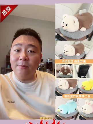 #郝邵文推荐 车载好物纸巾盒扶手箱抽纸盒创意汽车竹炭包摆件公仔汽车内装饰品 #纸巾盒 #抽纸盒 #扶手箱 #郝邵文
